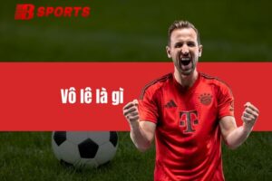 Vô lê là gì? Vài nét đặc trưng của vô lê trong bóng đá