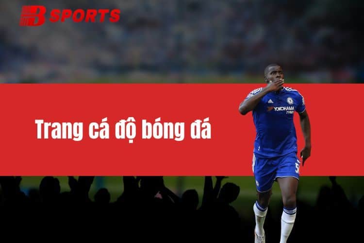 Trang cá độ bóng đá BTY522 - Nhà cái uy tín số 1 châu Á