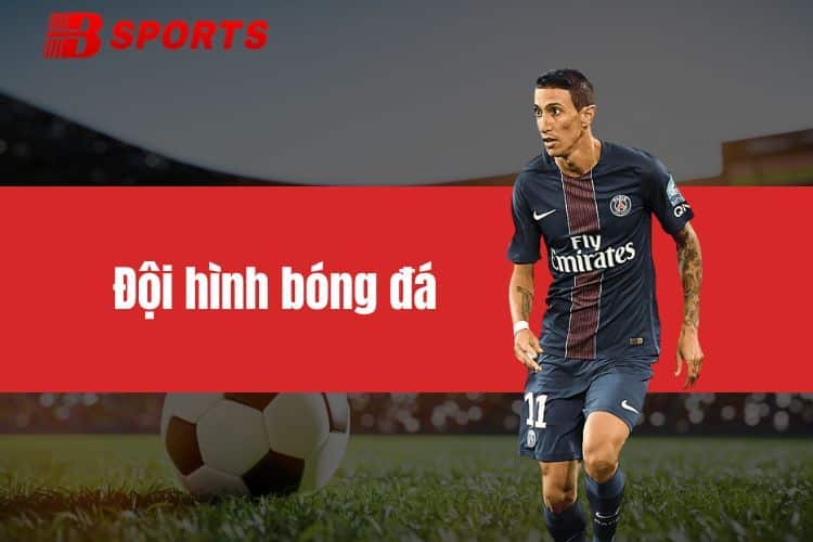 Đội Hình Bóng Đá Và Các Sơ Đồ Chiến Thuật Phổ Biến