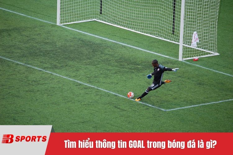 Tìm hiểu thông tin GOAL trong bóng đá là gì?